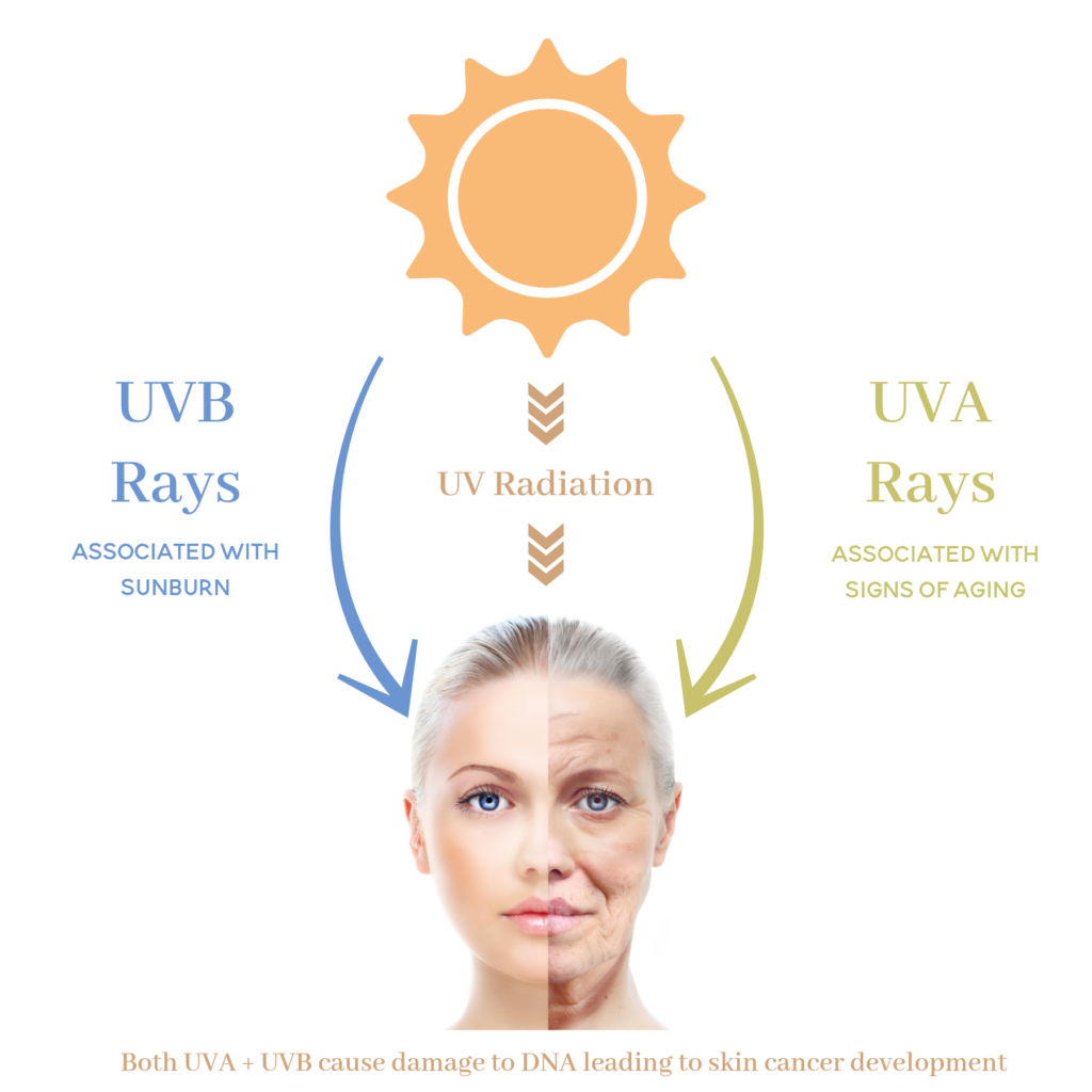 Preventing Sun Damage Richmond ENT Preventing Sun Damage Richmond ENT